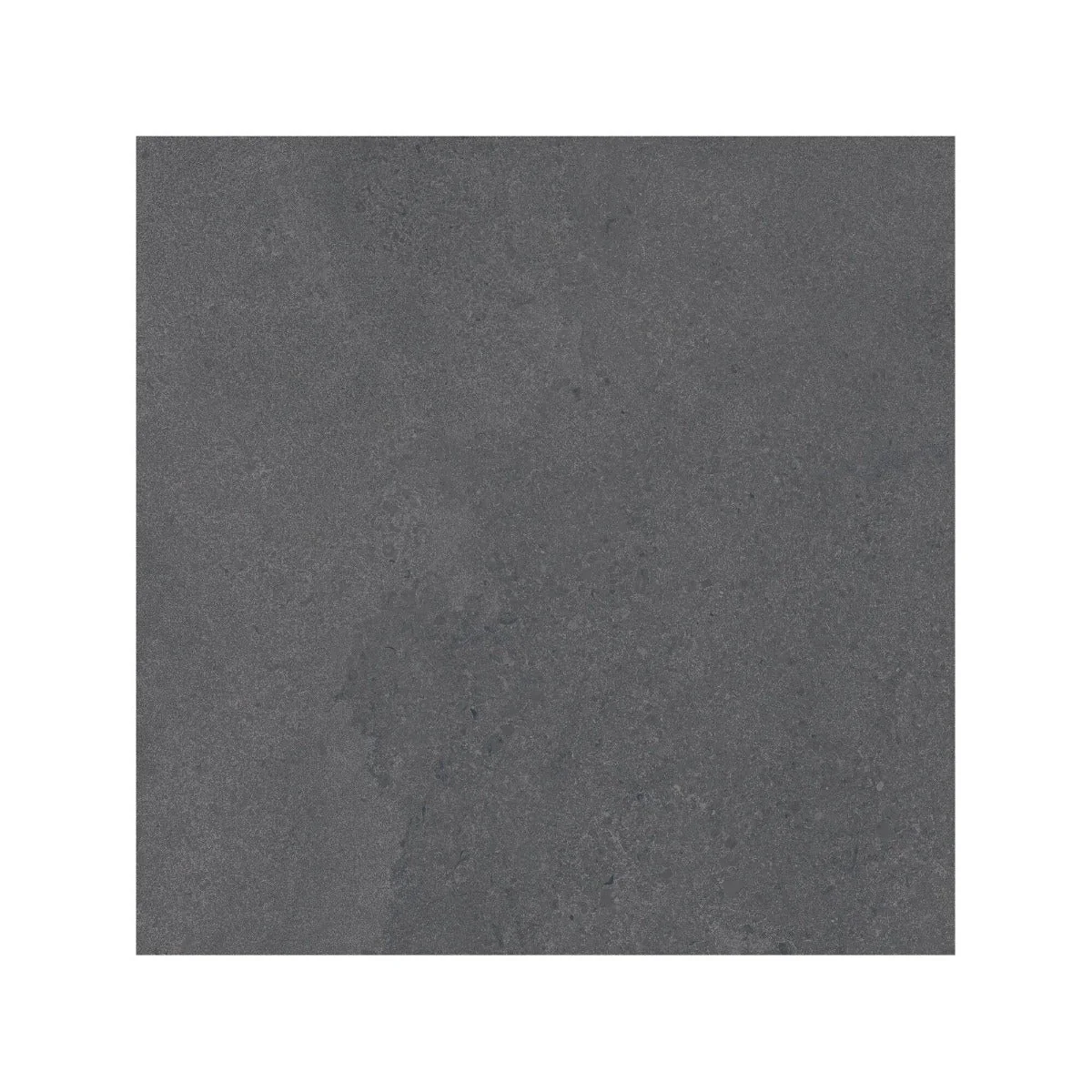 Monte Coto Black - Image 4