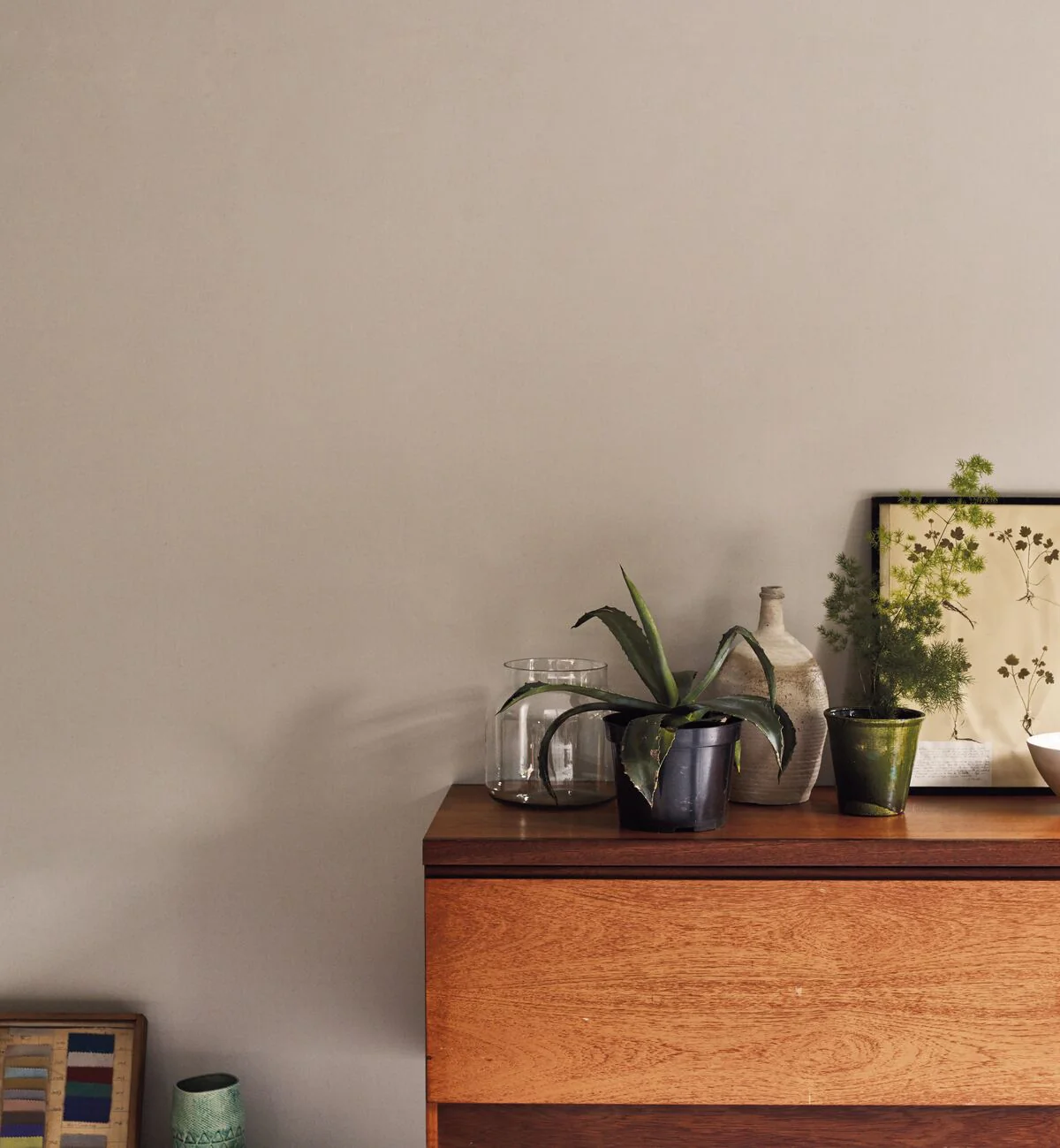 Oak Apple Paint - Image 3