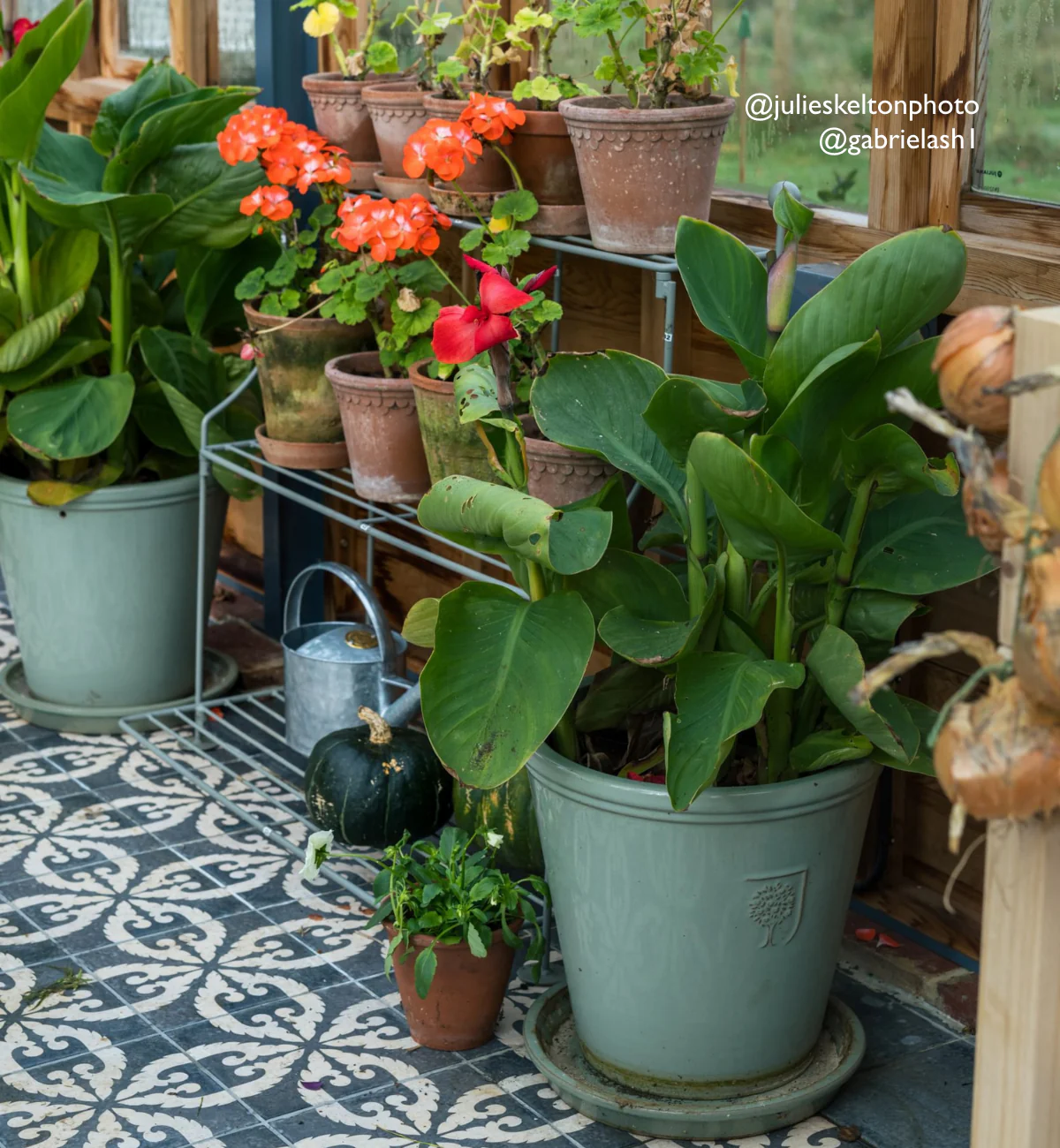 Urban Velasco Patterned Porcelain Tile - Image 11